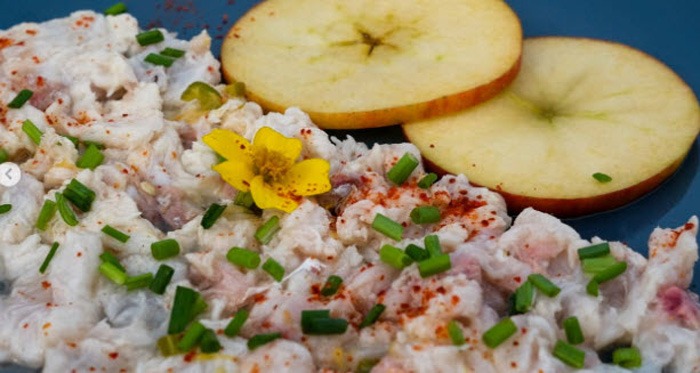 camping-seeteufel-ceviche