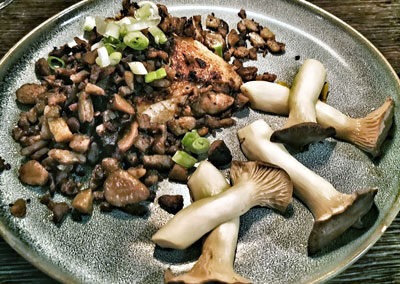 Polo Fino mit Pilzen