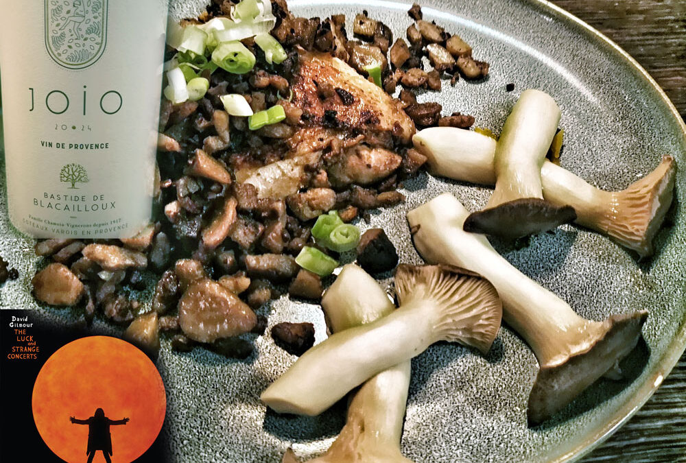 Die Essenz der vergangenen Jahrzehnte