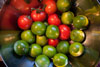 logo-limette Tomate und Limette