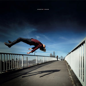 porcupine tree cover