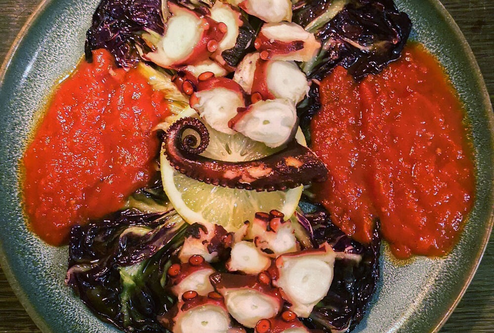 Rebellin trifft Oktopus