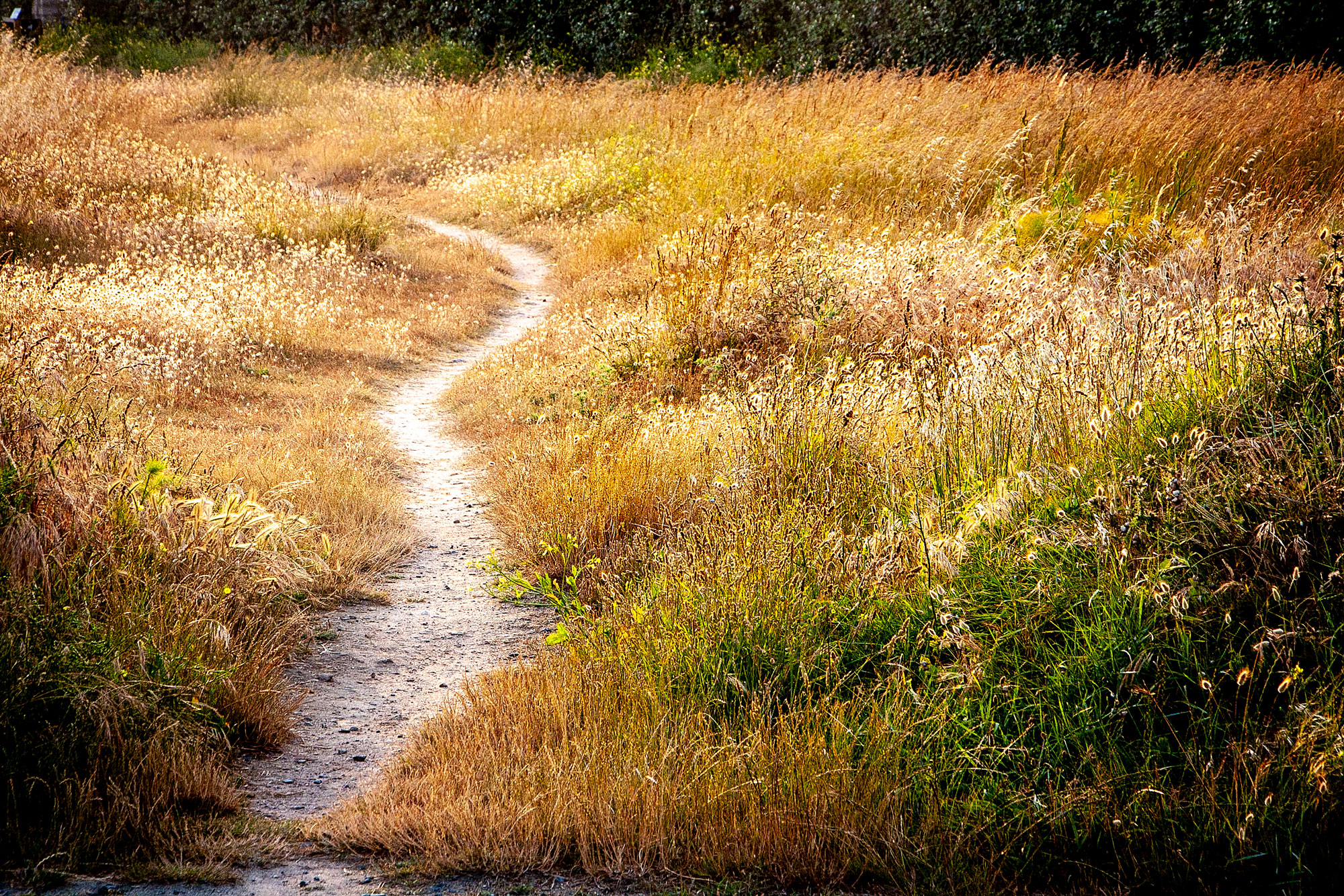 weg-am-meer Weg in der Bretagne