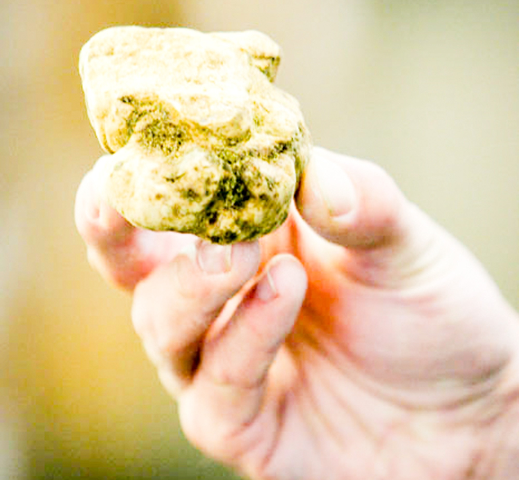 Welche Musik inspiriert zum Kochen?