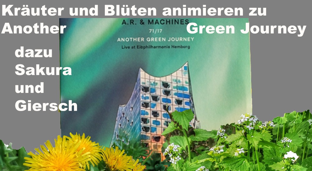 Kräuter und Blüten animieren zu Another Green Journey