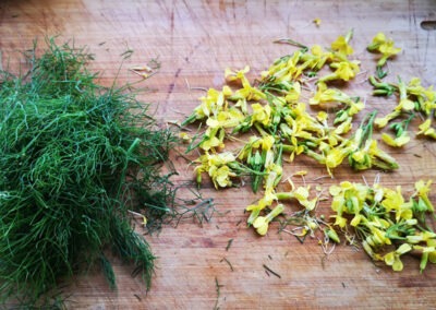 eco-kraut